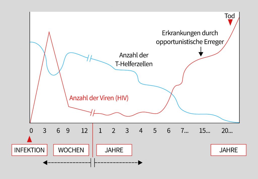 Grafik zeigt anhand einer Kurve den Verlauf einer HIV-Infektion ohne Behandlung