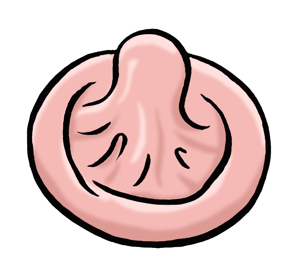 Illustration eines Kondoms